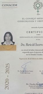 Ampliar imagen: certificate 1