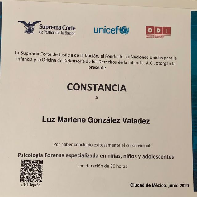 Ampliar imagen: certificate 2