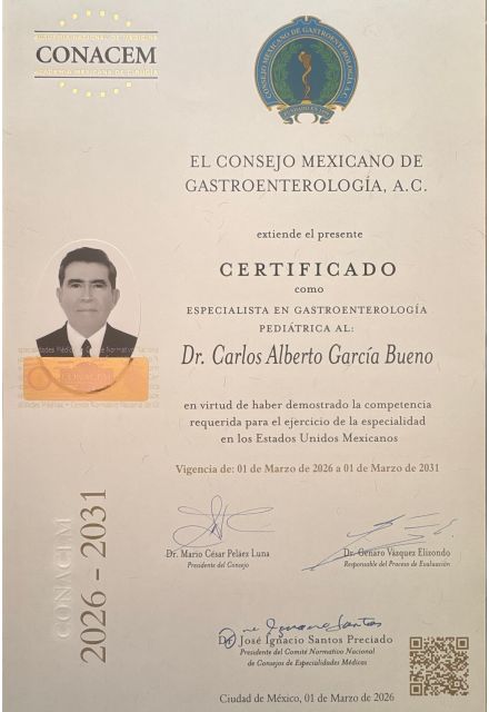 Ampliar imagen: certificate 2
