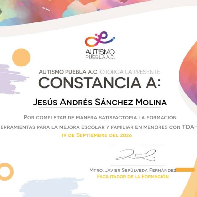 Ampliar imagen: certificate 9