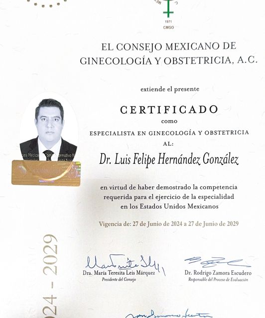 Ampliar imagen: certificate 4
