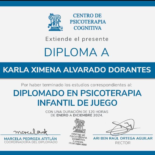 Ampliar imagen: certificate 7