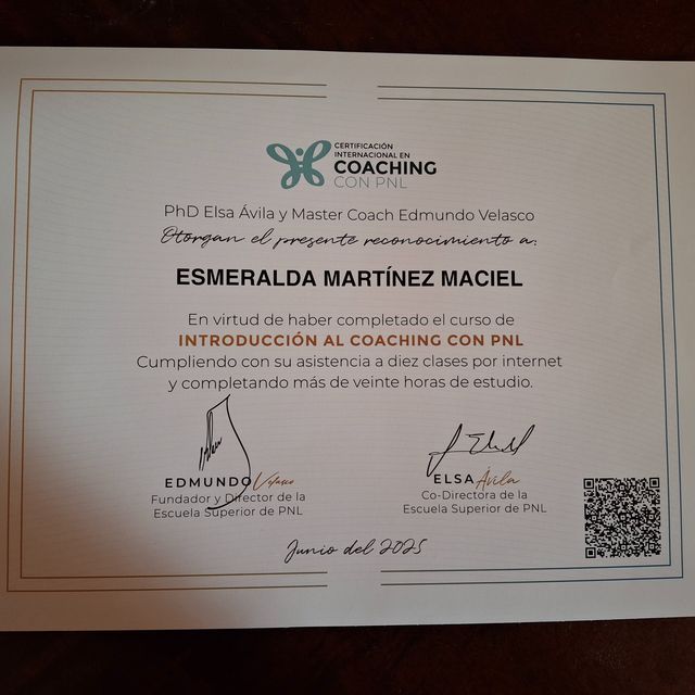 Ampliar imagen: certificate 13