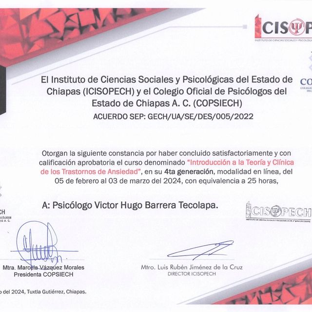 Ampliar imagen: certificate 48