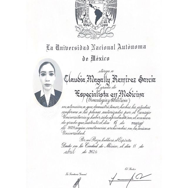 Ampliar imagen: certificate 1