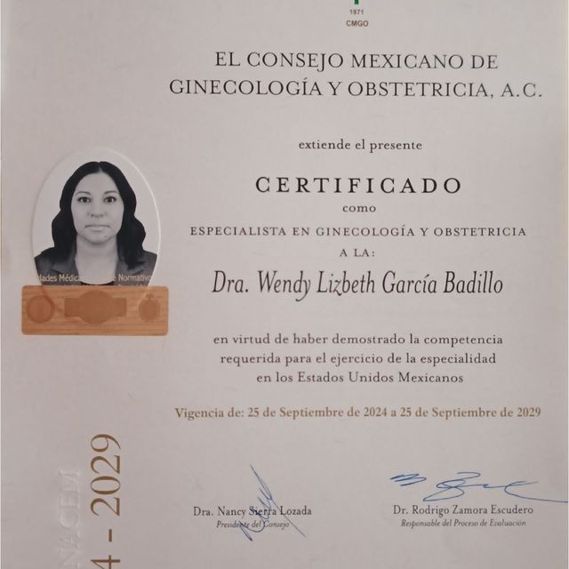 Ampliar imagen: certificate 4