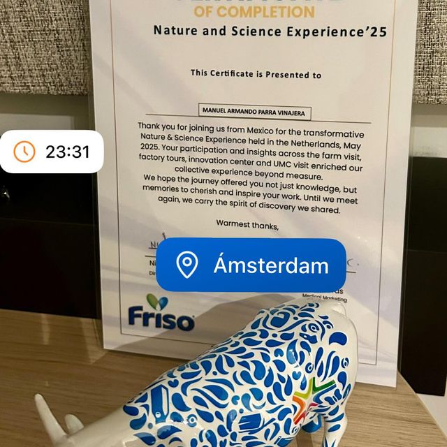 Ampliar imagen: certificate 28