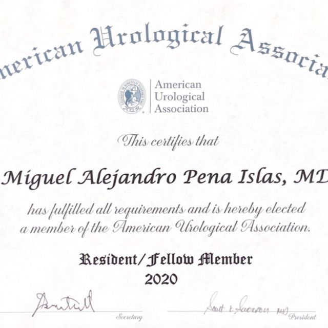Ampliar imagen: certificate 2