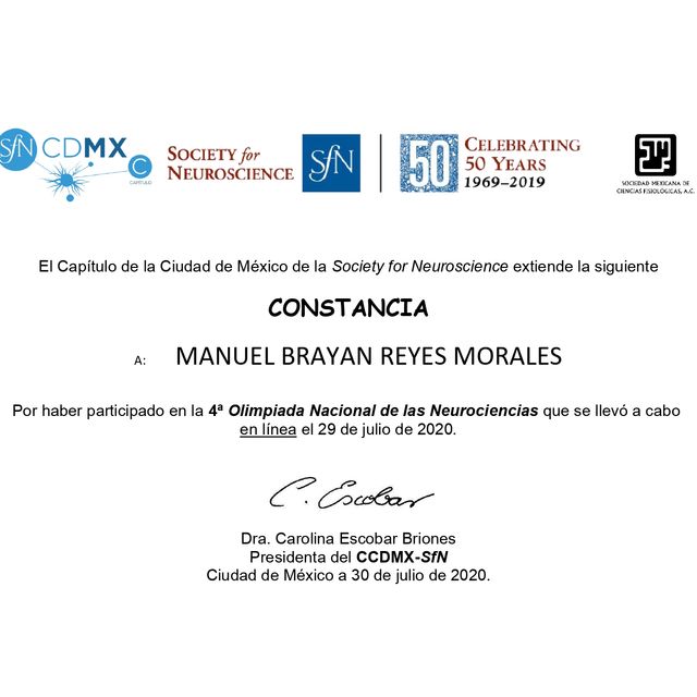 Ampliar imagen: certificate 7