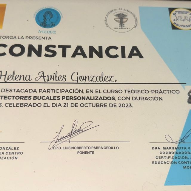 Ampliar imagen: certificate 2