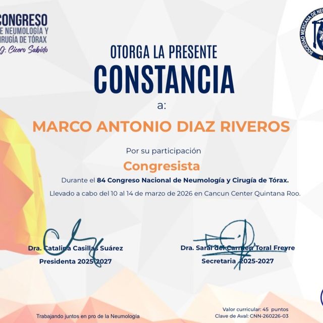 Ampliar imagen: certificate 8