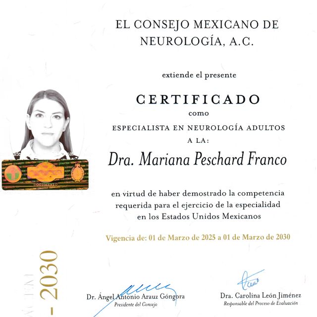Ampliar imagen: certificate 1