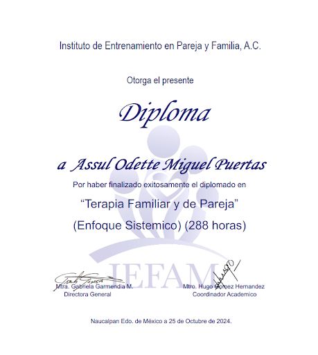 Ampliar imagen: certificate 7