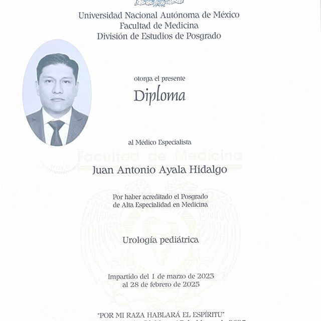 Ampliar imagen: certificate 4