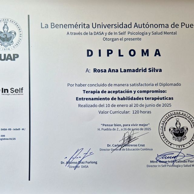 Ampliar imagen: certificate 9