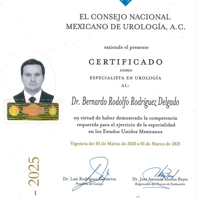 Ampliar imagen: certificate 4