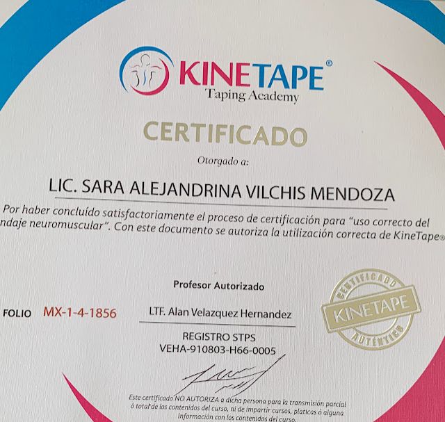 Ampliar imagen: certificate 2