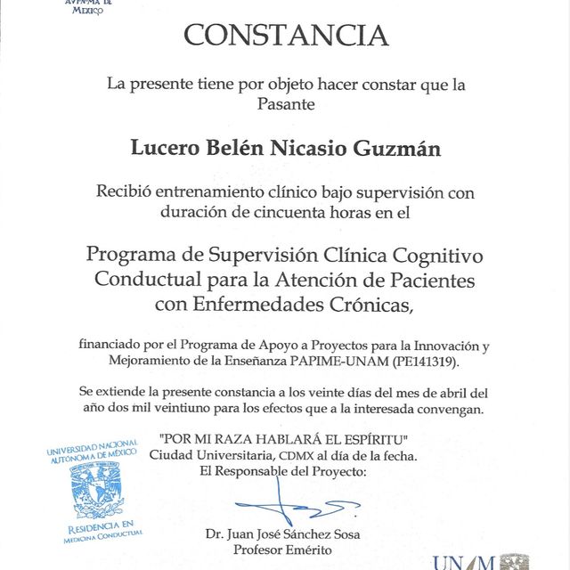Ampliar imagen: certificate 5