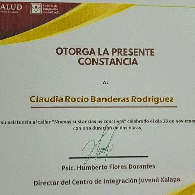 Ampliar imagen: certificate 6