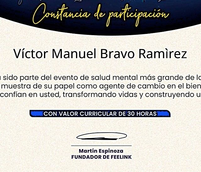 Ampliar imagen: certificate 2