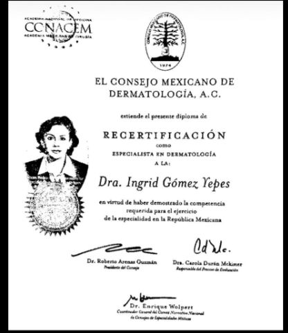 Ampliar imagen: certificate 5