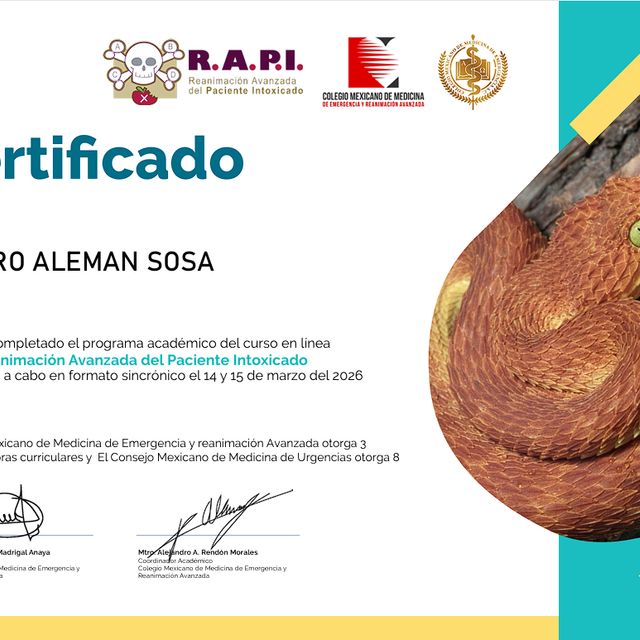 Ampliar imagen: certificate 14