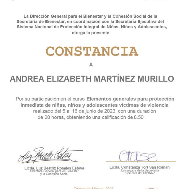 Ampliar imagen: certificate 34