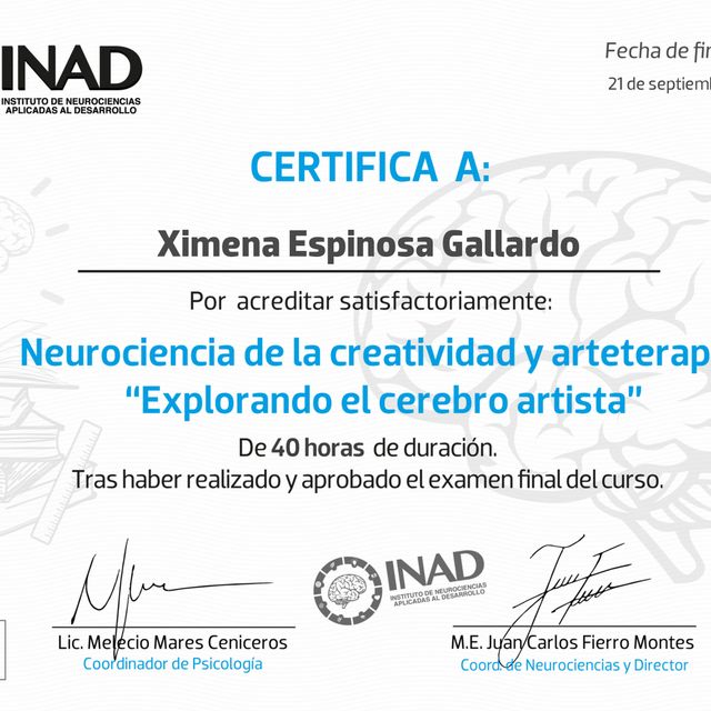Ampliar imagen: certificate 9