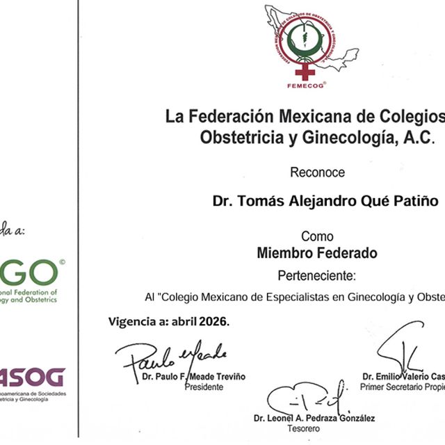 Ampliar imagen: certificate 17