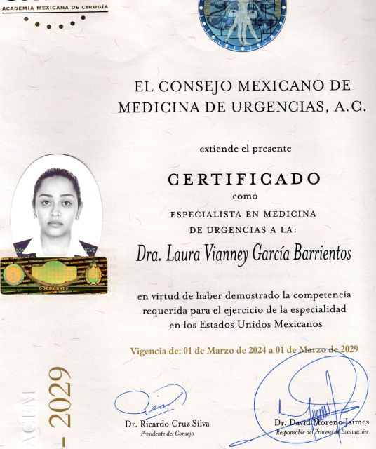 Ampliar imagen: certificate 3