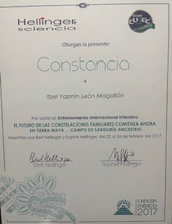 Ampliar imagen: certificate 12
