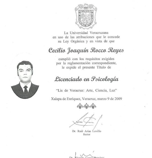 Ampliar imagen: certificate 3