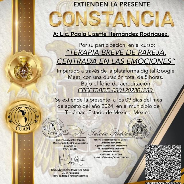 Ampliar imagen: certificate 2