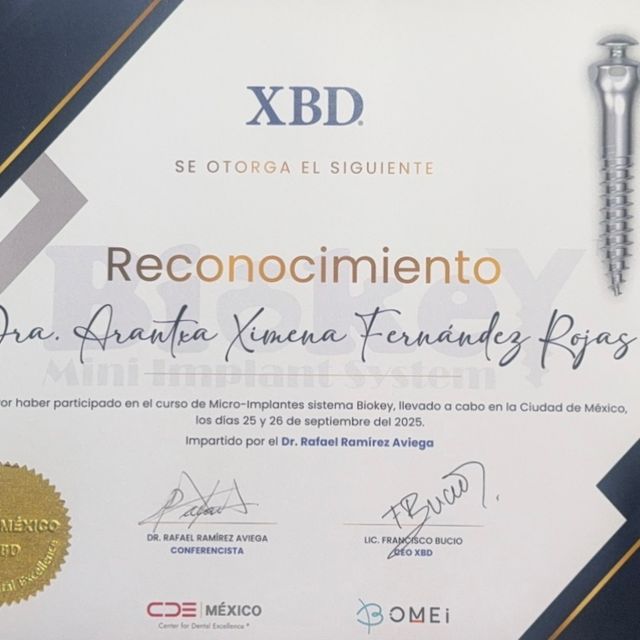 Ampliar imagen: certificate 1
