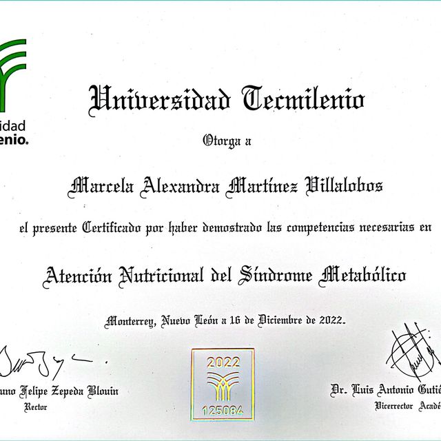 Ampliar imagen: certificate 1
