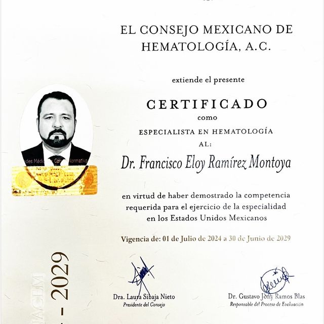 Ampliar imagen: certificate 2