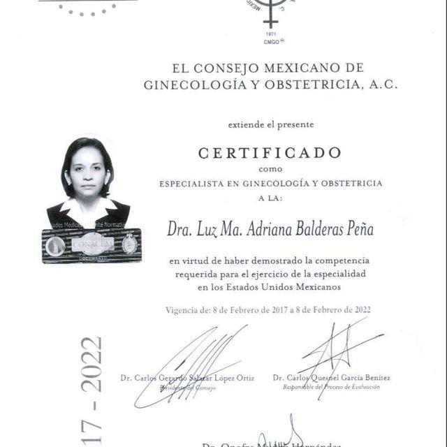 Ampliar imagen: certificate 5