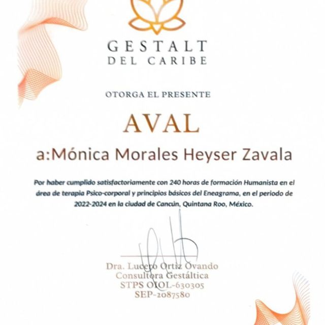 Ampliar imagen: certificate 1