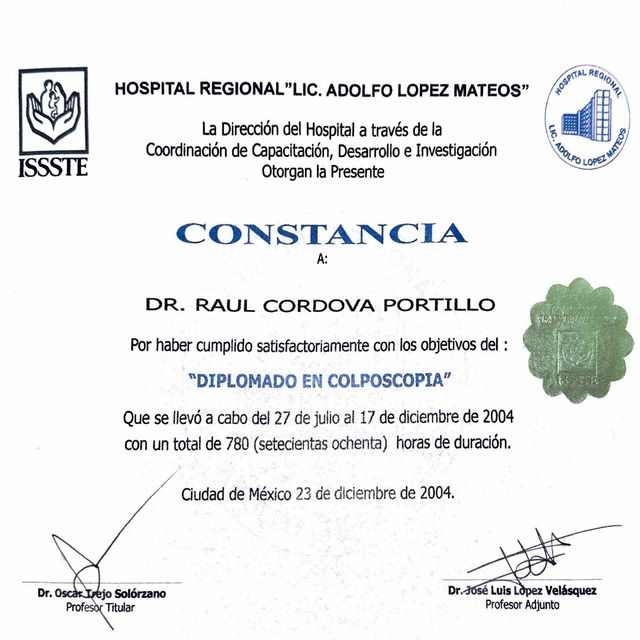 Ampliar imagen: certificate 1