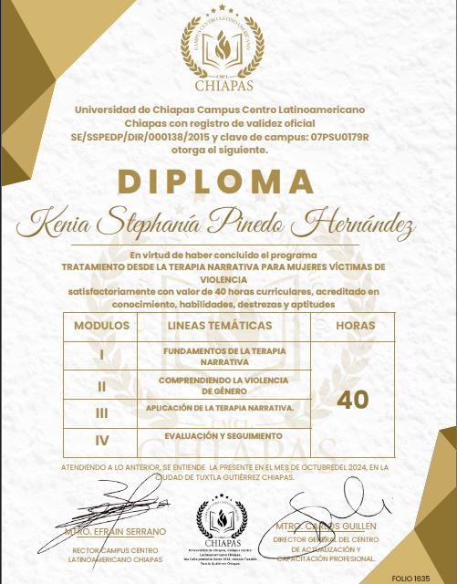 Ampliar imagen: certificate 2