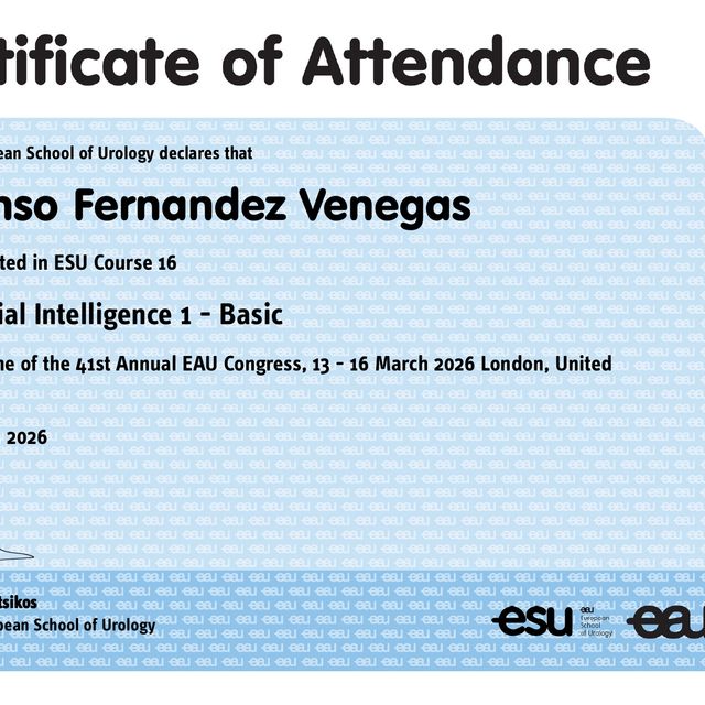 Ampliar imagen: certificate 6