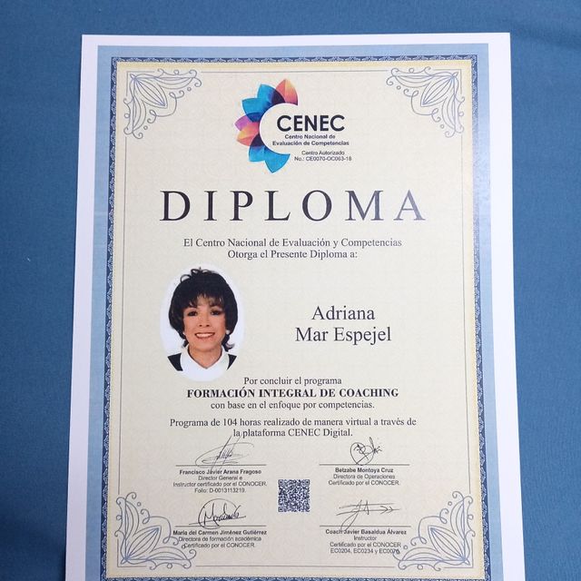 Ampliar imagen: certificate 7