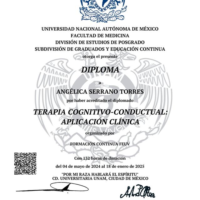 Ampliar imagen: certificate 3