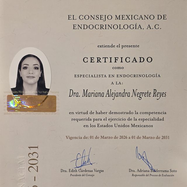 Ampliar imagen: certificate 1