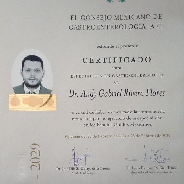Ampliar imagen: certificate 2