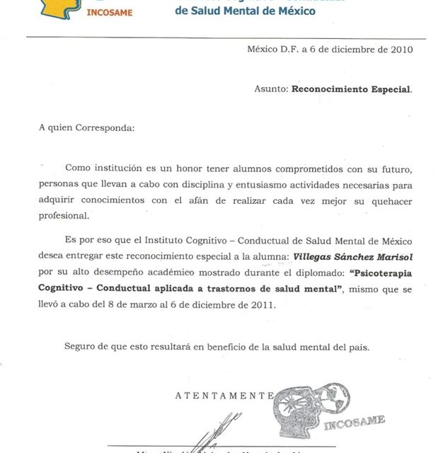 Ampliar imagen: certificate 10