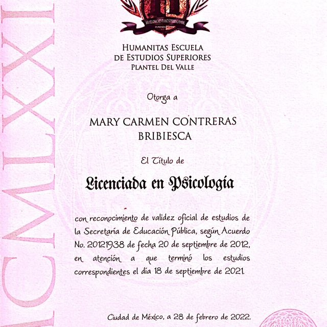 Ampliar imagen: certificate 1