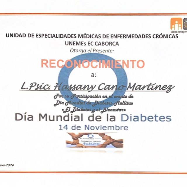 Ampliar imagen: certificate 10