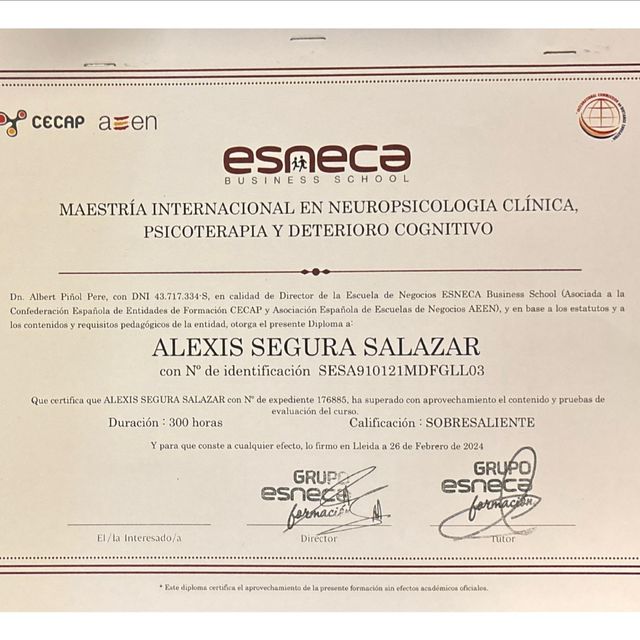 Ampliar imagen: certificate 3
