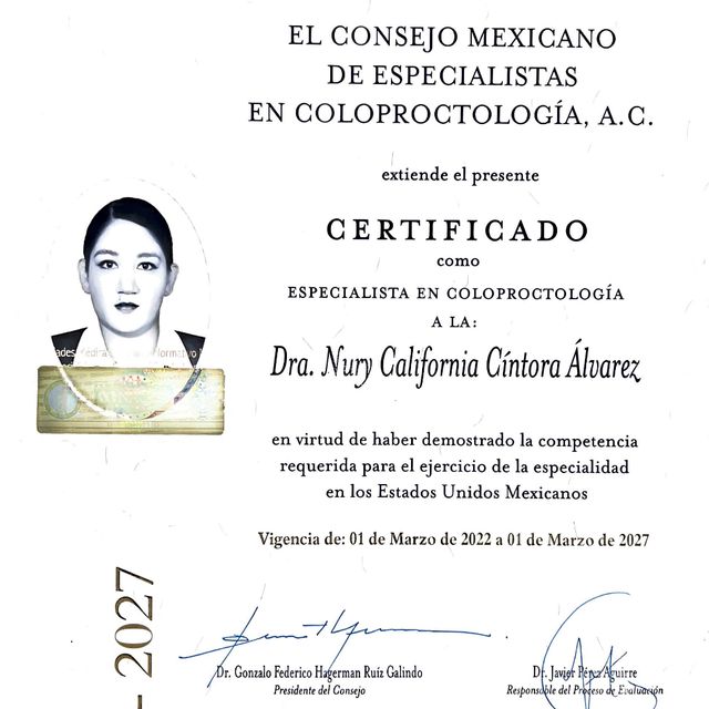 Ampliar imagen: certificate 2